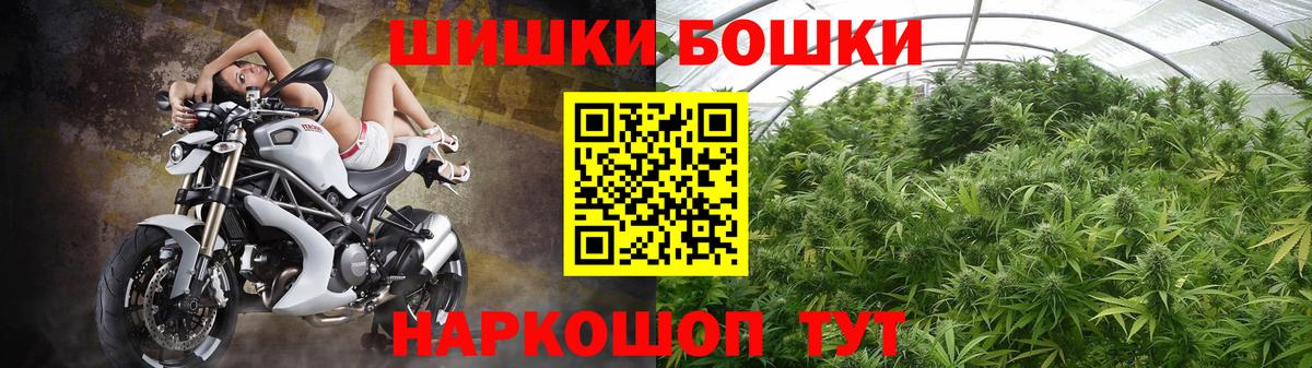 Каннабис OG Kush Москва